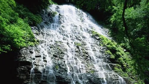 节能信息化科技